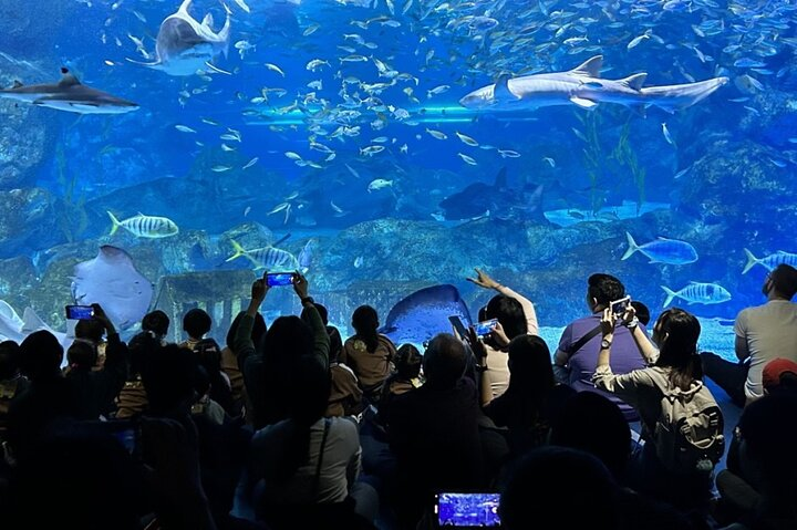 Skip the Line: The Greatest Urban Aquarium COEX Ticket(내국인불가) - Photo 1 of 10